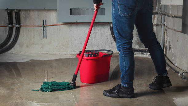 Best 24-hour water damage restoration  in West Des Moines, IA