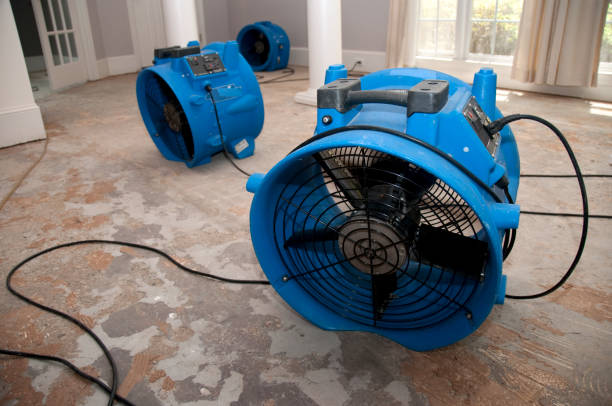  West Des Moines, IA Water damage restoration Pros