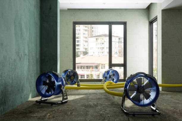 Best Sewage cleanup and water damage restoration  in West Des Moines, IA
